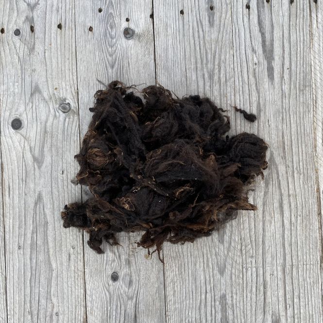 Hovedbilde Vasket ull - Blæset sau