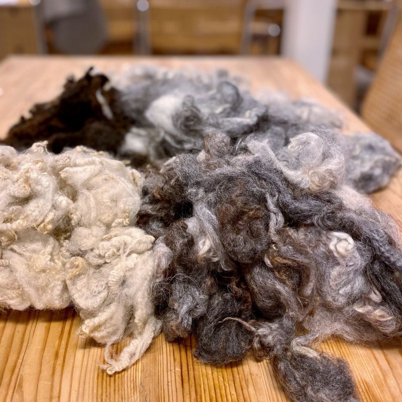 Kurs i Ullsortering - 28. September 2025