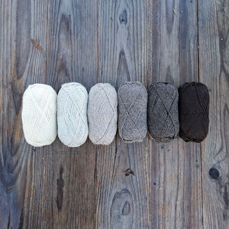 Strikkepakke - Enkel selbuvott dame