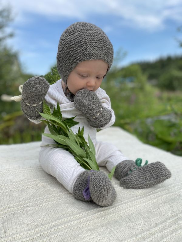 Vesle Trønder - Aprikos