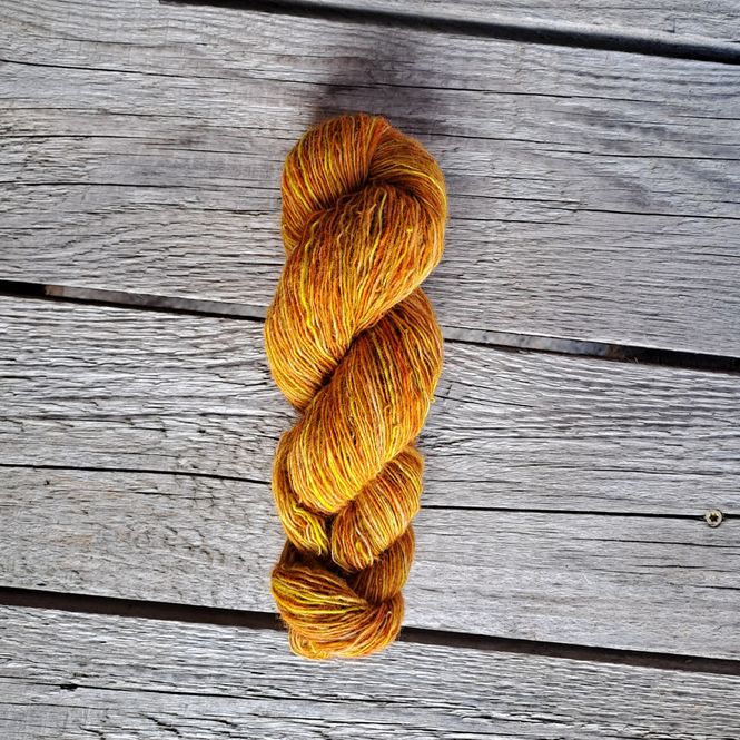 Hovedbilde Følgesvenn - Morgenstund