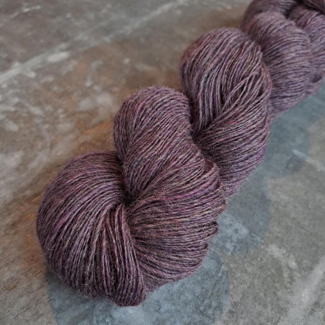 Hovedbilde Følgesvenn - Viola