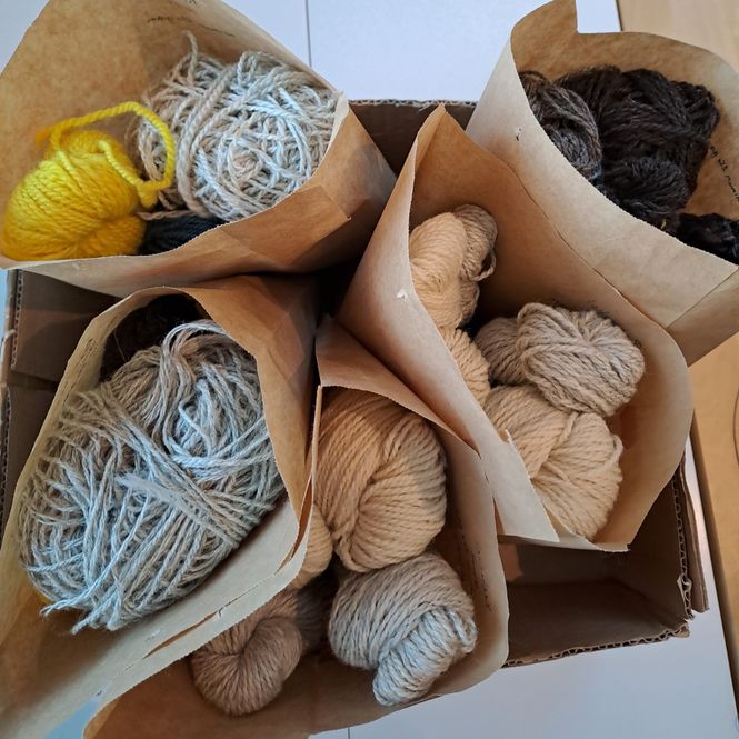 Hovedbilde Restefest - Gimre crossbred forundringspakke 