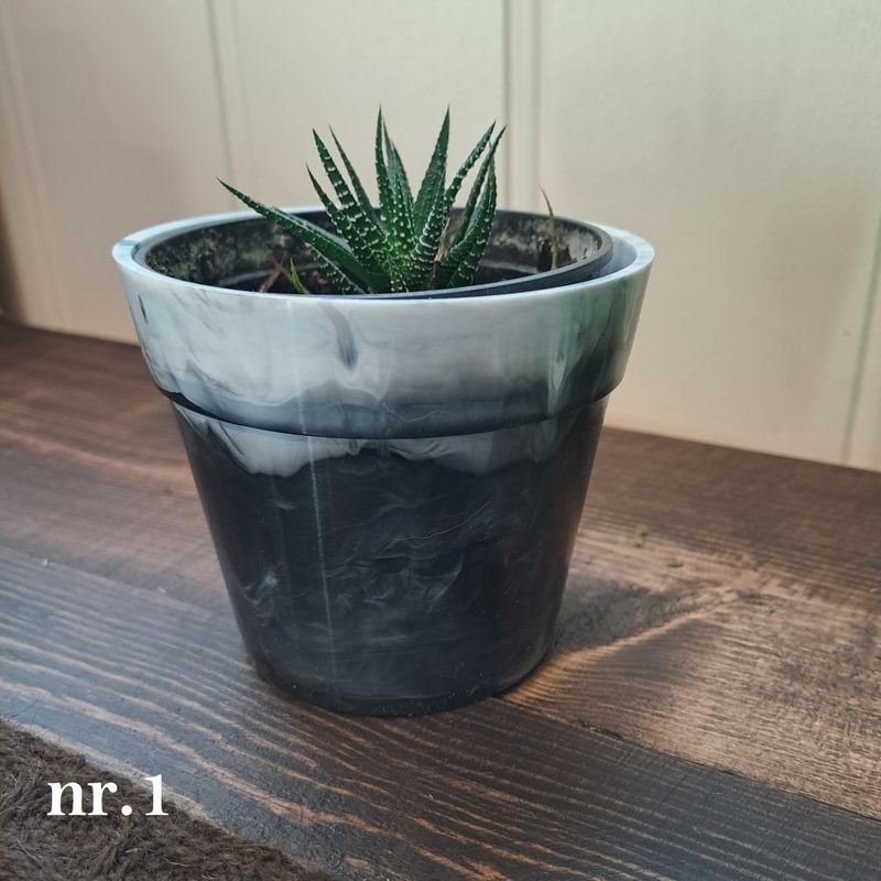 Potteskjuler - skodde