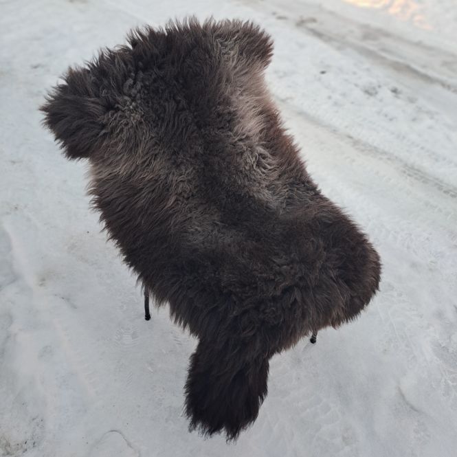 Hovedbilde Lammeskinn av Grå Trøndersau 