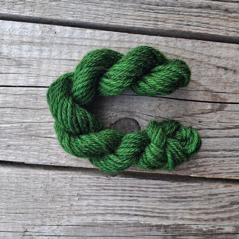 Stuggu Begeistret Bajas